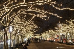 street-lined-with-trees-with-lights